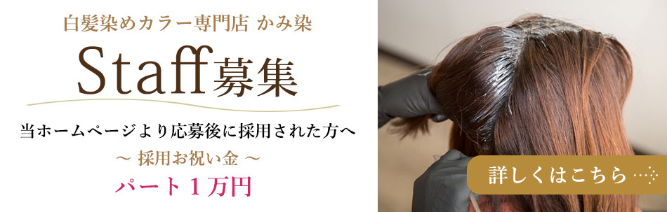 かみ染PR