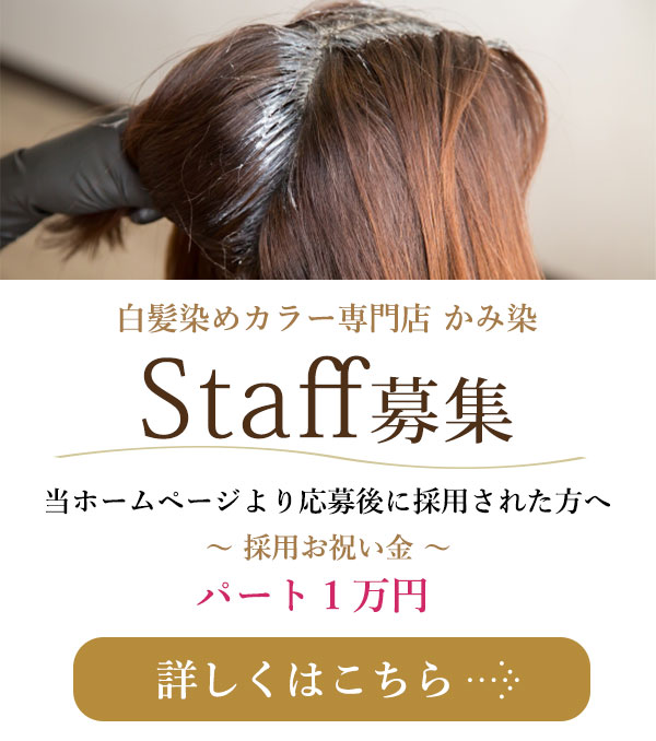 かみ染PR